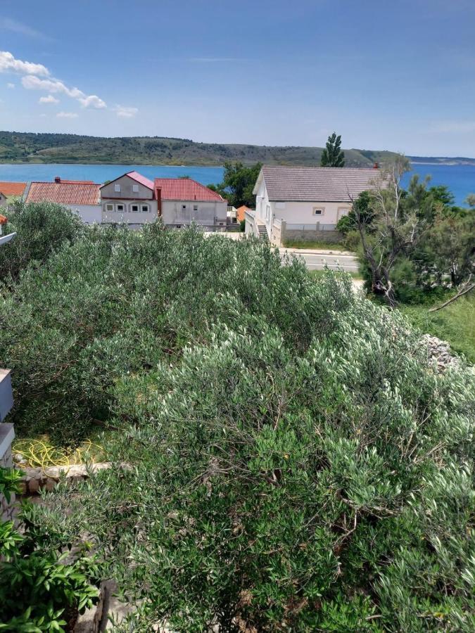 Apartmani Branka Rtina Zewnętrze zdjęcie